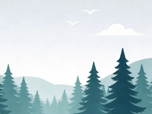 Forest landscape with trees and mountains representing grounding and stability